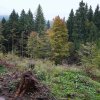 09 b Schluchensteig Etappe 4 - 6